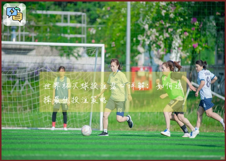 世界杯买球投注盘口详解：如何选择最优投注策略