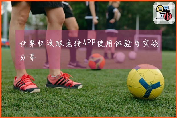 世界杯滚球竞猜APP使用体验与实战分享