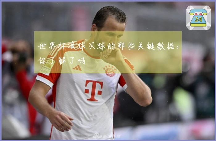世界杯滚球买球的那些关键数据，你了解了吗