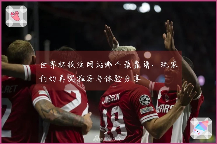 世界杯投注网站哪个最靠谱，玩家们的真实推荐与体验分享