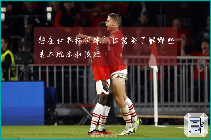 想在世界杯买球？你需要了解哪些基本玩法和技巧
