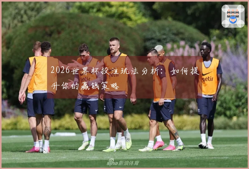 2026世界杯投注玩法分析：如何提升你的赢钱策略