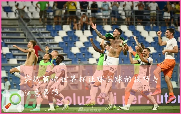 实战解读世界杯让球买球的技巧与注意事项