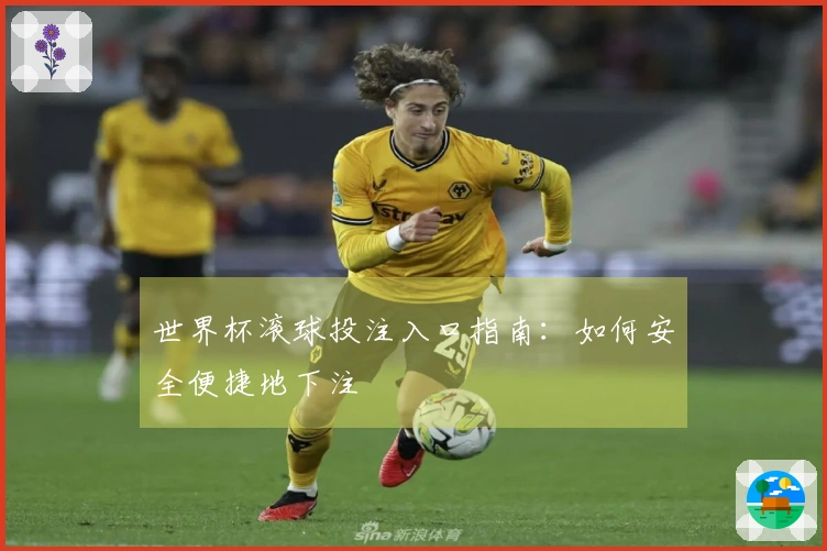 世界杯滚球投注入口指南：如何安全便捷地下注