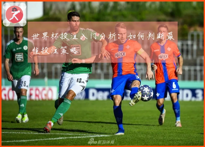 世界杯投注入门分析：如何判断最佳投注策略