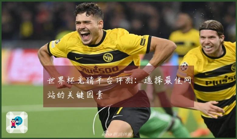 世界杯竞猜平台评测：选择最佳网站的关键因素
