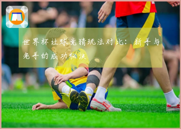 世界杯让球竞猜玩法对比：新手与老手的成功秘诀