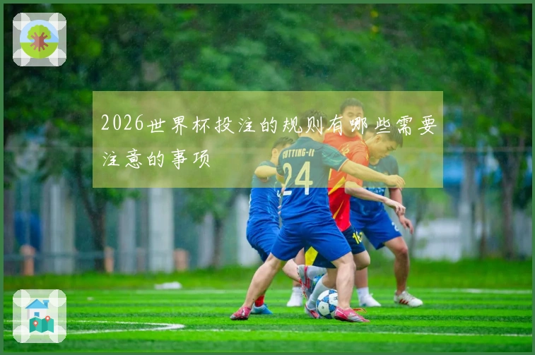 2026世界杯投注的规则有哪些需要注意的事项