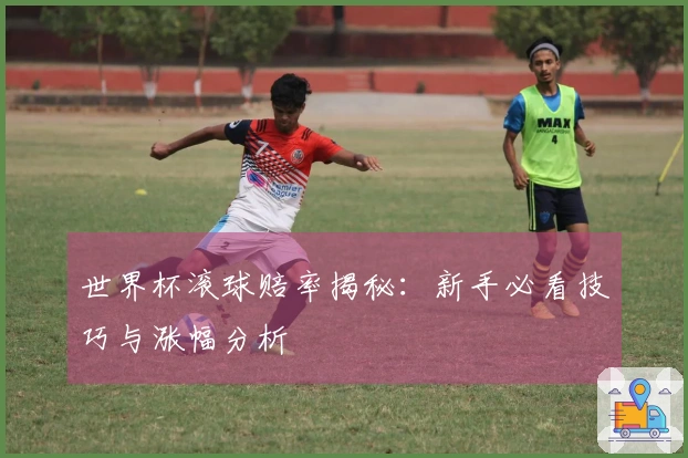 世界杯滚球赔率揭秘：新手必看技巧与涨幅分析