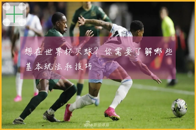 想在世界杯买球？你需要了解哪些基本玩法和技巧